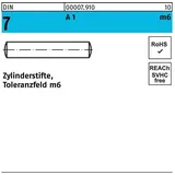 Reyher DIN 7 Zylinderstifte 1.4305 10 m6 x100 rostfreiei A 1 S