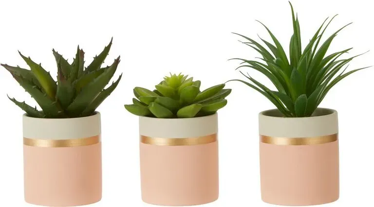 Premier Housewares Fiori 3er-Set Sukkulenten in rosa Töpfen
