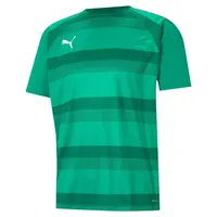 Puma teamVISION Trikot Herren 05 pepper green/power green/white S