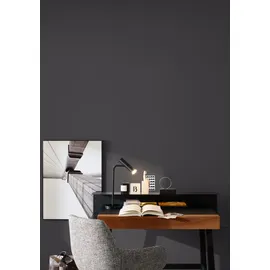 Schöner Wohnen Trendfarbe 2,5 l luna matt