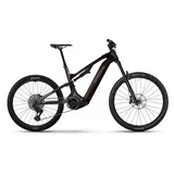 Haibike Allmtn CF 9 2026 29 Zoll RH XL schwarz