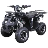 ACTIONBIKES MOTORS S-8 Farmer 125 ccm Automatik (Schwarz)