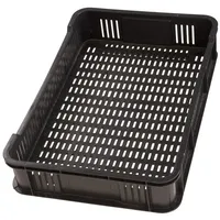 Haga Lagerkiste 59x39,5x11 cm - Obst- und Gemüsekasten stapelbar