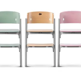 Kinderkraft Kinderhochstuhl Treppenhochstuhl verstellbar LIVY Aster pink 3in1 - Rose