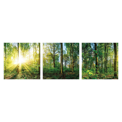 Levandeo® Glasbild, 3er Set Wandbild je 30x30cm Glasbild Wald Natur Sonne Landschaft Wanddeko Baum