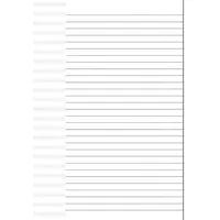 Brunnen Kanzleibogen A4 Lineatur25 50erPack 102142550