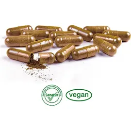Sanatur Astaxanthin Plus Kapseln 60 St.