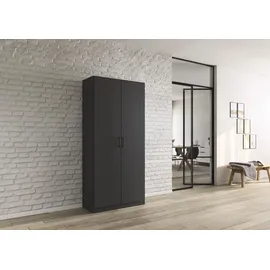 Rauch MINOSA Mehrzweckschrank 91 x 197 x 41 cm Grau