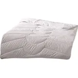 Traumschlaf Nature Kamelhaardecke medium, Füllung: 100% Kamelhaar 200x220 cm - weiß