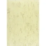 Brunnen 105141011 Multifunktions-Universalpapier (A4, 80 g/qm) chamois