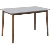 Beliani Modesto 77 x 73 x 118 cm grau/braun