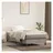 vidaXL Boxspringbett 90 x 200 cm hellgrau