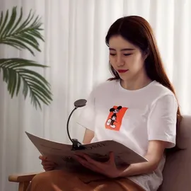 Baseus Mini-LED-Leselampe zum Bildschirmlesen mit Clip grau