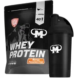 1kg Mammut Whey Protein Eiweißshake - Set inkl. Protein Shaker, Riegel, Powderbank oder Tasse (Mango Passion Fruit, Gratis Mammut Shaker)