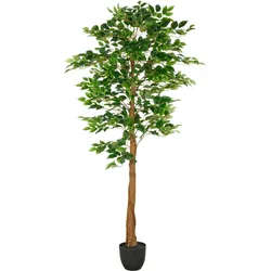 Kunstbaum CREATIV GREEN "Ficus Benjamina", grün, H:150cm, Kunststoff, Kunstpflanzen, mit naturgetreuem Blattwerk und Stamm
