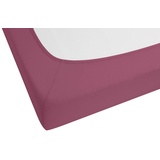 biberna Spannbettlaken Jersey-Elastic