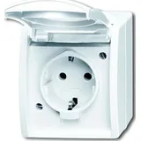Busch-Jaeger Schuko-Steckdose 20 EW-54 Alpinweiß