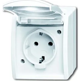 Busch-Jaeger Schuko-Steckdose 20 EW-54 Alpinweiß