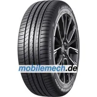 WINRUN R330 205/55 R16 91V