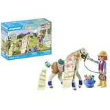 Playmobil Horses of Waterfall & Pferd mit Kreppeisen 71639