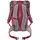 Deuter Race 12 l cherry-masala