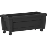 vidaXL Calypso 79 x 35 x 33 cm Anthrazit