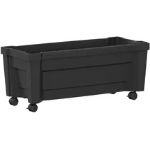 vidaXL Calypso 79 x 35 x 33 cm Anthrazit