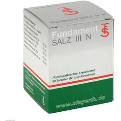 FUNDAMENT-Salz III N Tabletten 80 St