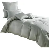 Traumschlaf Uni Tencel Lyocell Grau/Silber 135 x 200 cm + 80 x 80 cm
