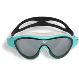 Arena The ONE Junior Schwimmmaske - Dark Smoke - One Size