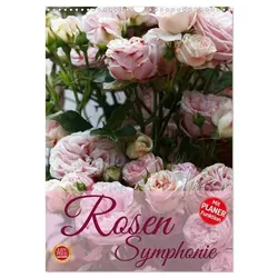 Rosen Symphonie (Wandkalender 2025 DIN A3 hoch), CALVENDO Monatskalender