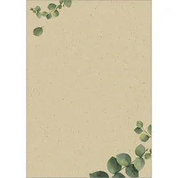Sigel Motiv-Papier A4 100g Graspapier Eucalyptus 100 Blatt