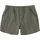 CARHARTT ForceTM Ripstop Short Hosen Grün L