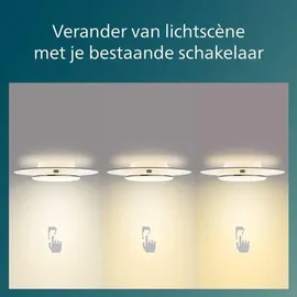 Philips Garnet Deckenleuchte LED, 8720169195196,