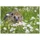 Veloflex Schreibtischunterlage Igel Kunststoff 50,0 x 35,0 cm, 1 St.