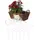 Relaxdays Bewässerungskugeln 10er Set HxD 28 x 8 cm transparent