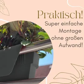 GarPet Geländerkasten Balkon 49 x 21 x 23 cm Anthrazit