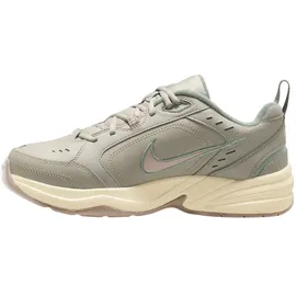 Nike Air Monarch IV Light Bone/Sanddrift/Spruce Aura 44,5