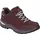 Lowa Renegade Evo GTX LO Damen Altrosa/Weiß 42