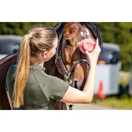 Zedan SP Insekten-Gel 500 ml