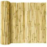 Sol Royal SolVision B99 Sichtschutzzaun 150x250cm Bambus Hell