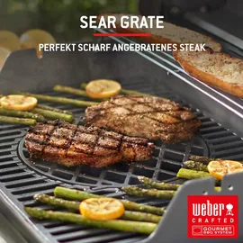 Weber Spirit E-325 GBS schwarz 1500895