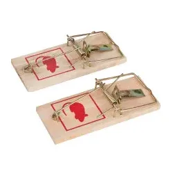 2 x klassische Mausefallen aus Holz