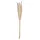Atmosphera - Set Aus 6 Trockenblumen Pampa Naturelle H. 65 Cm Créateur D'Intérieur