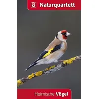 Quelle & Meyer Heimische Vögel