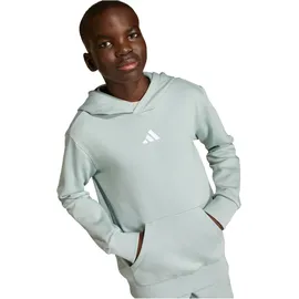adidas Hoodie Grey 152