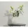 Marburg Monochromatic Marvel 53 cm x 10 m Vliestapete 0 g weiß 34193