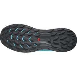 Salomon Ultra Flow Herren Carbon/Tahitian Tide/Deep Dive 44