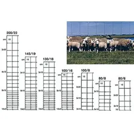 BETAFENCE Ursus Light ZAL 200/22/15 50m