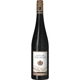 Schloss Vollrads Schlossberg Riesling GG 2021 Schloss Vollrads 0.75l